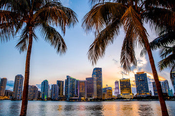 Vacant Property Security Miami